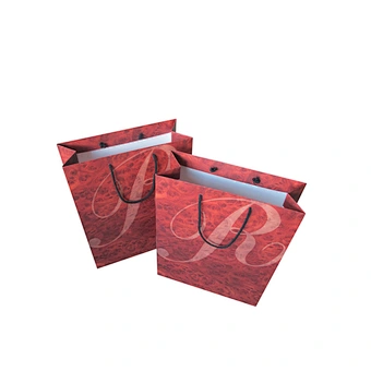 Custom Design Wholesale Luxury Shopping Paper Bag with Handles