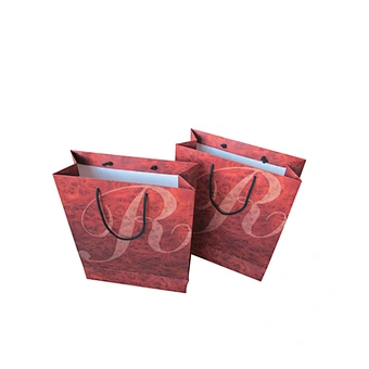 Custom Design Wholesale Luxury Shopping Paper Bag with Handles