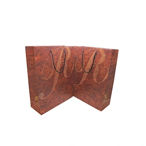 Custom Design Wholesale Luxury Shopping Paper Bag with Handles
